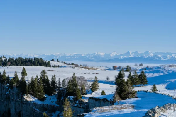 Championnat du monde de biathlon : histoire, épreuves et champions