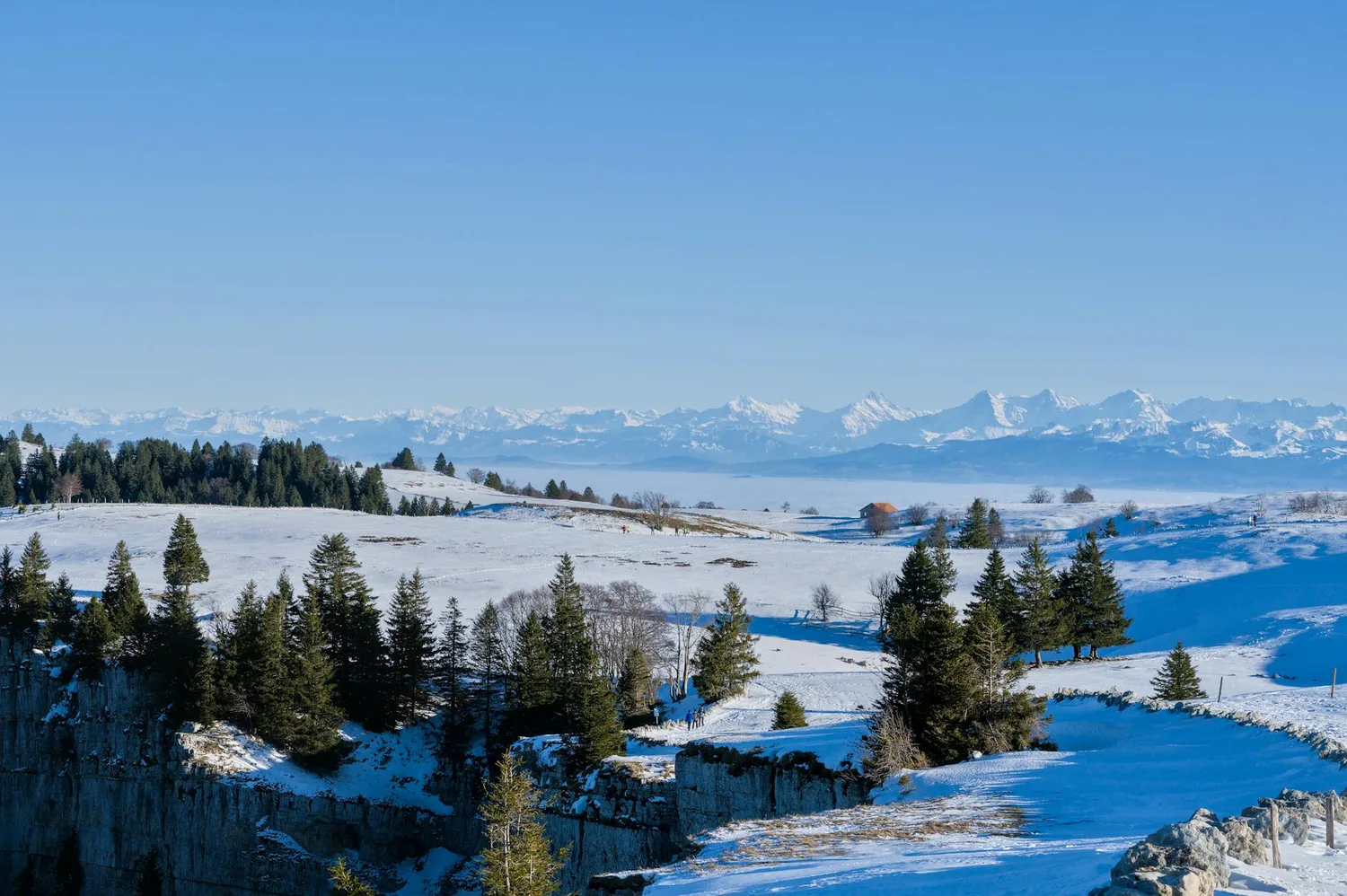 Championnat du monde de biathlon : histoire, épreuves et champions